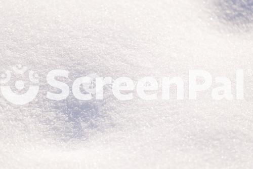 Snow Cover